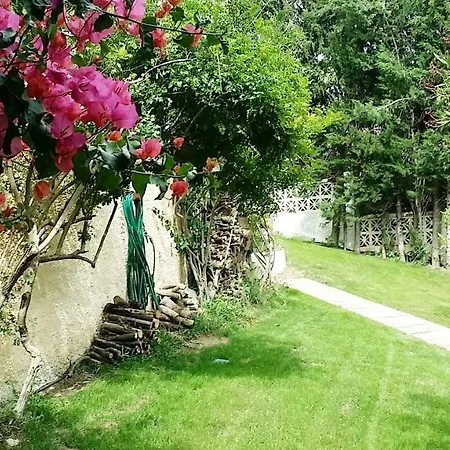 Douceur Du Sud *